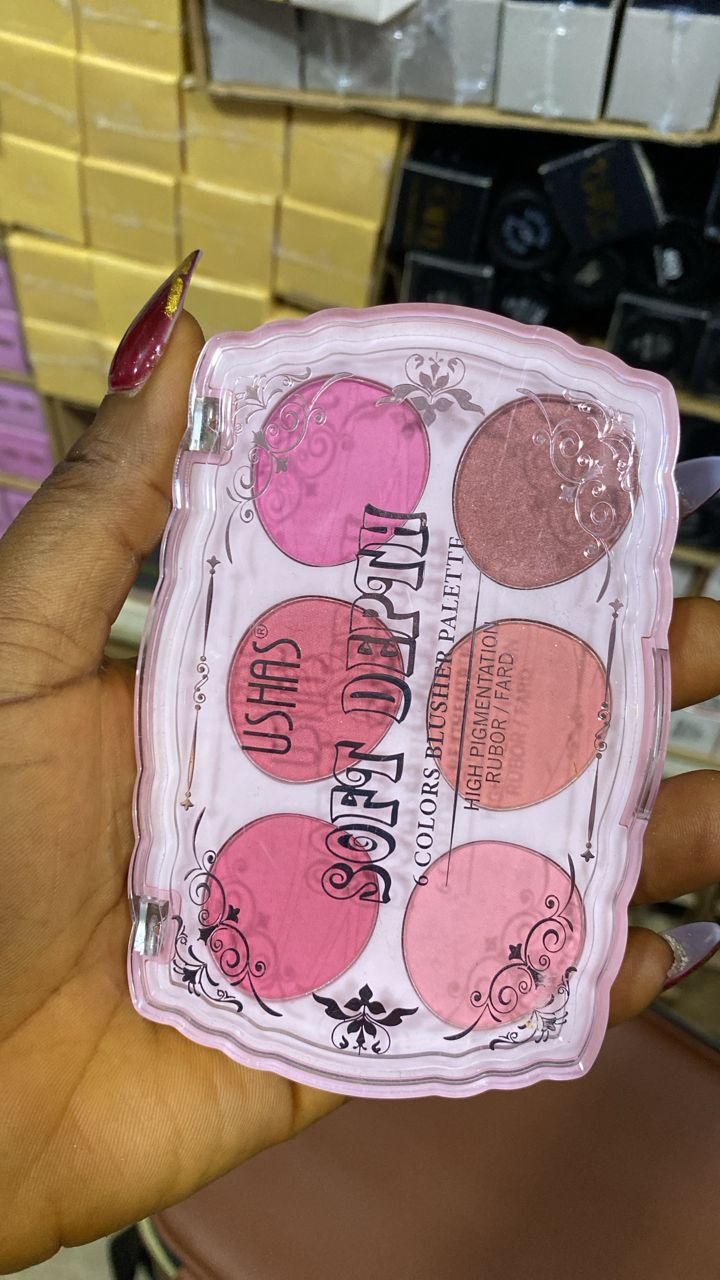6 Colors Blusher Palette
